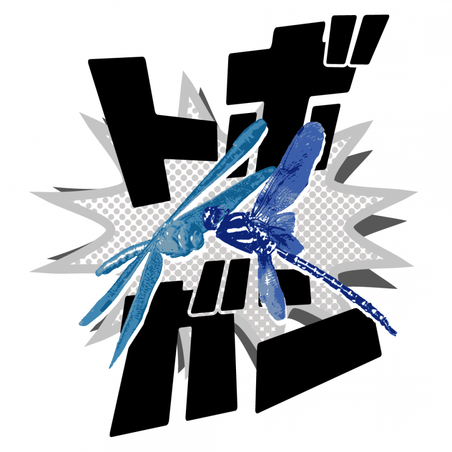 トボガン