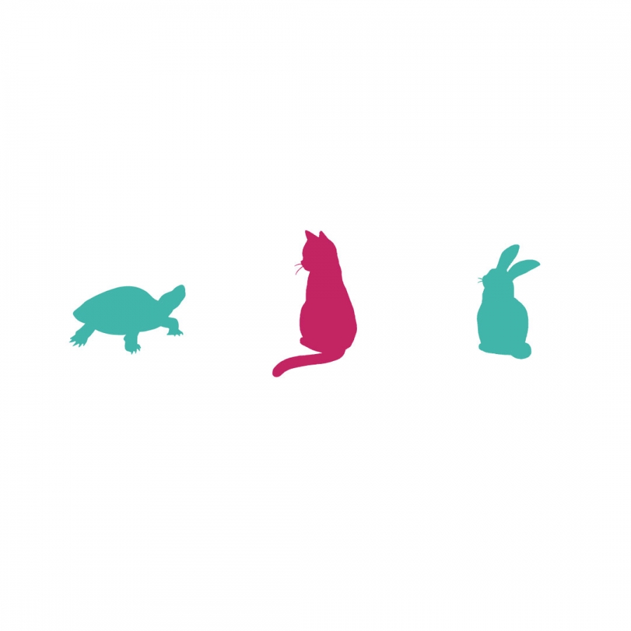 かめねこうさぎ